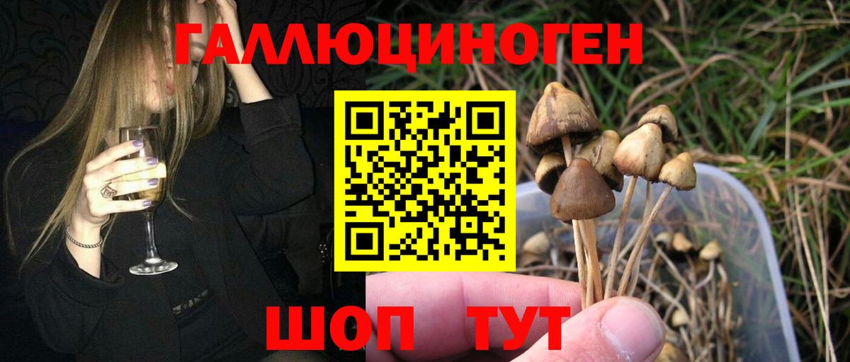 Краснодар  Псилоцибиновые грибы Magic Shrooms  Вход с VPN  Псилоцибиновые грибы Psilocybine cubensis 