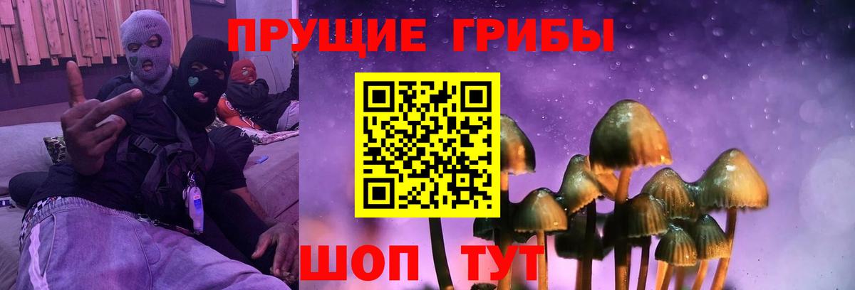 Псилоцибиновые грибы Psilocybine cubensis Краснодар